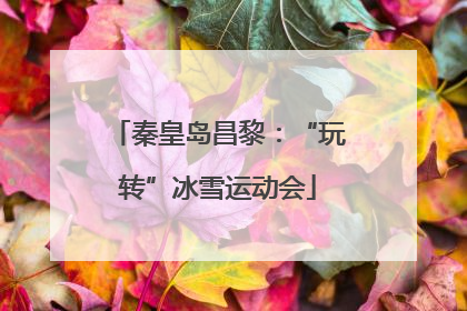 秦皇岛昌黎：“玩转”冰雪运动会